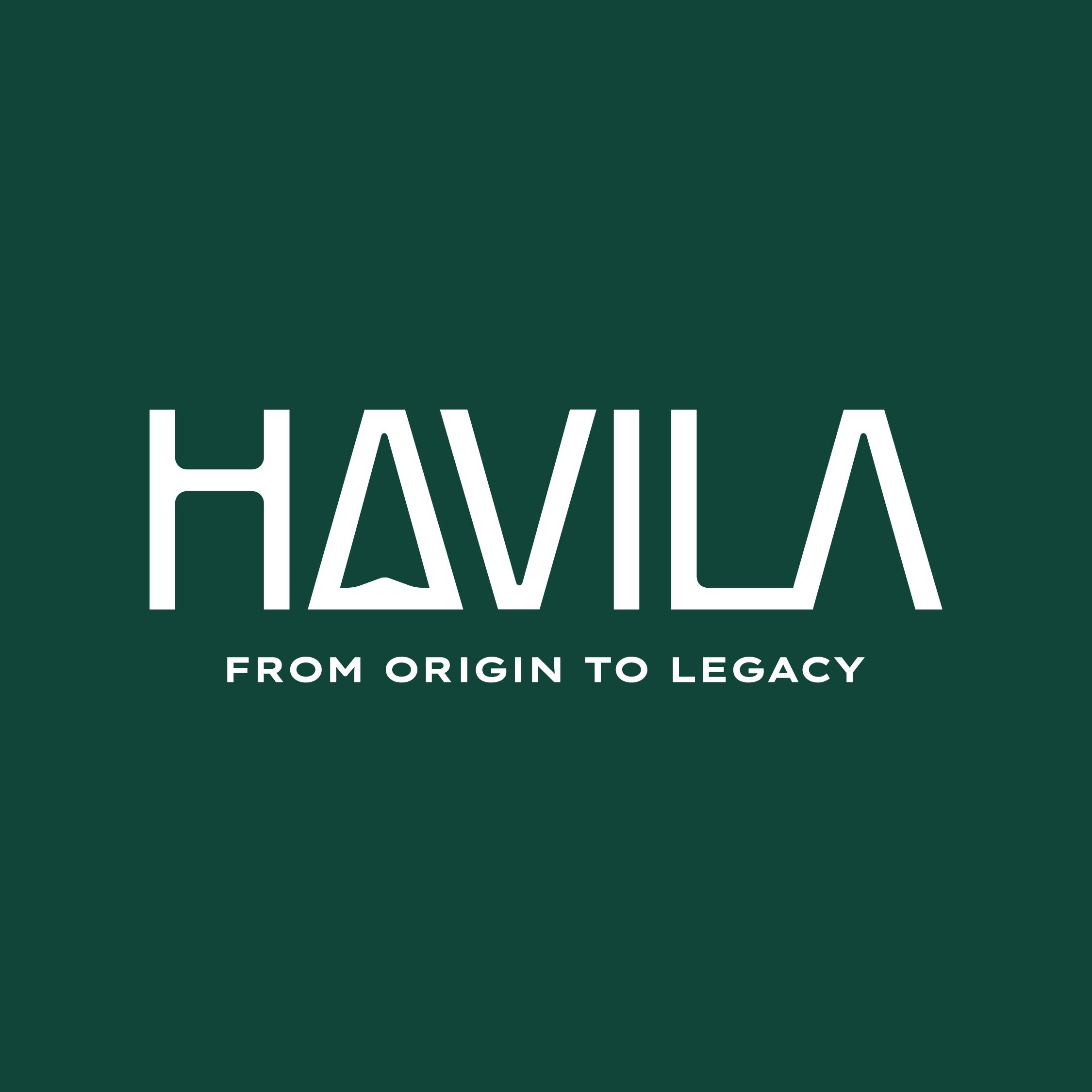 HAVILA GROUP
