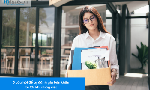 Các câu hỏi phỏng vấn phụ bếp: Bí quyết để thành công